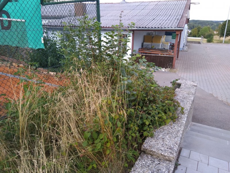 Fotos zu Arbeitsdienst Jahr Tennis SV Amstetten