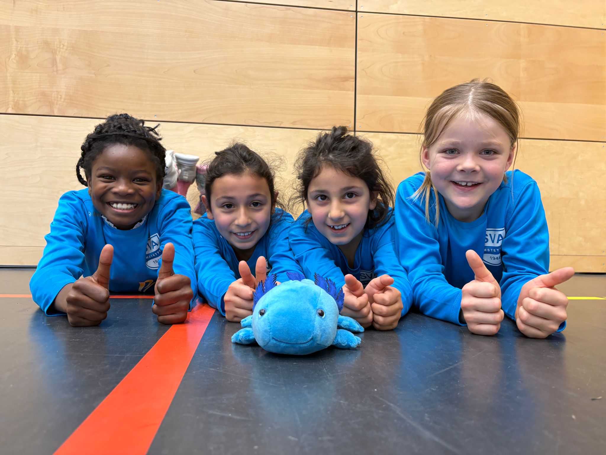 SV Amstetten Faustball