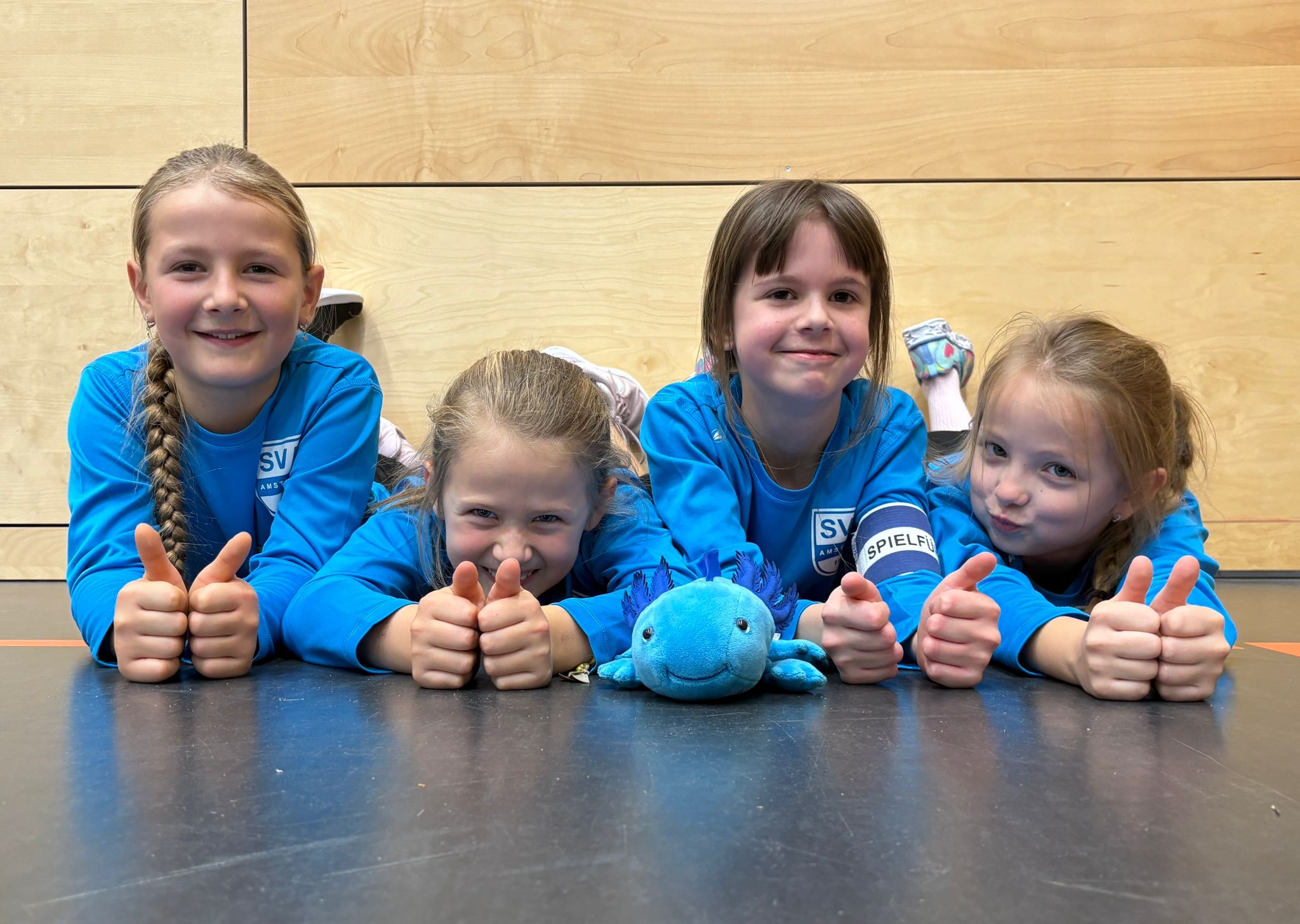 SV Amstetten Faustball